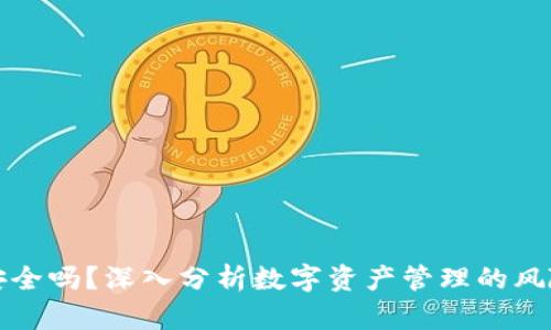 TP钱包安全吗？深入分析数字资产管理的风险与防护