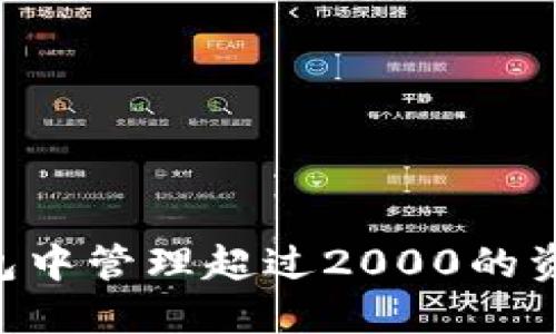 如何在TP钱包中管理超过2000的资产：完整指南