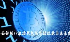  全面解析TP波场钱包的市
