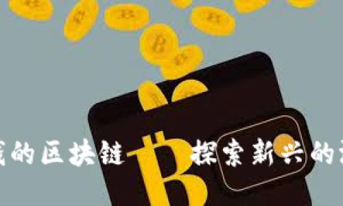 : 玩游戏赚钱的区块链——探索新兴的游戏收入模式